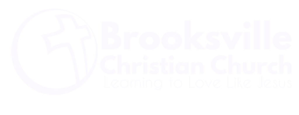 church logo medium - white
